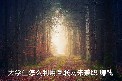 大學(xué)生怎么利用互聯(lián)網(wǎng)來(lái)兼職 賺錢