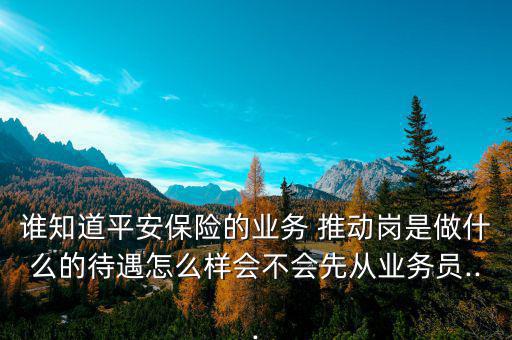 誰知道平安保險的業務 推動崗是做什么的待遇怎么樣會不會先從業務員...