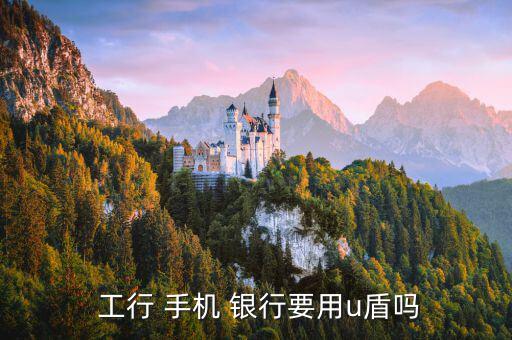 工行手機銀行怎么使用u盾,行行手機銀行轉賬方式如何進行?