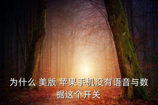 為什么 美版 蘋果手機沒有語音與數據這個開關