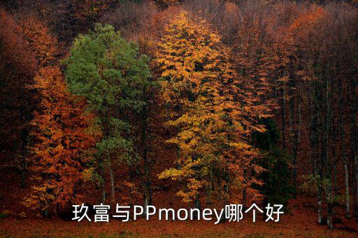 pp貓玖富行業寶怎么樣,玖富微金融手機應用已上線