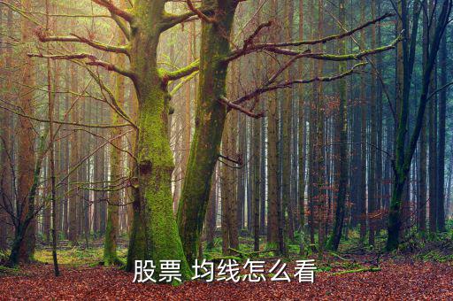 股盤均線怎么看,股價均線交易系統