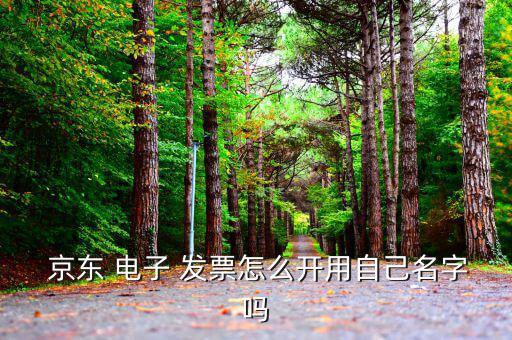 京東的電子發票怎么看,網上下載電子發票訂單出現問題需要解決