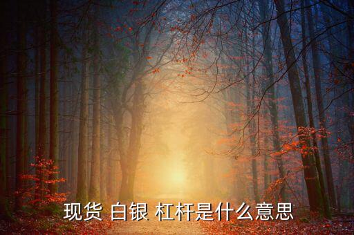 現貨白銀的杠桿怎么算,現貨白銀交易50次杠桿