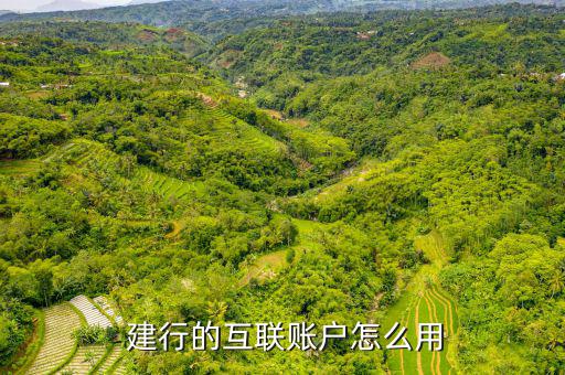  建行的互聯賬戶怎么用