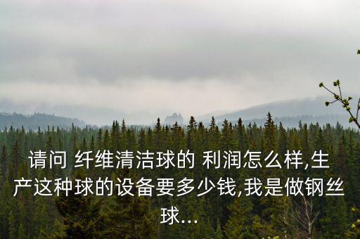 請問 纖維清潔球的 利潤怎么樣,生產這種球的設備要多少錢,我是做鋼絲球...