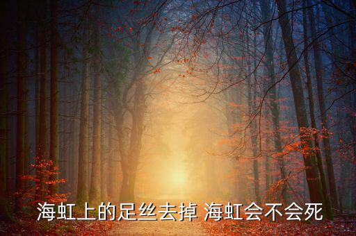 海虹的線怎么去掉,海虹:營養豐富味道鮮嫩!