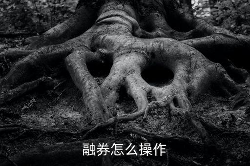 融券券源怎么查,轉融通業務三大重點: