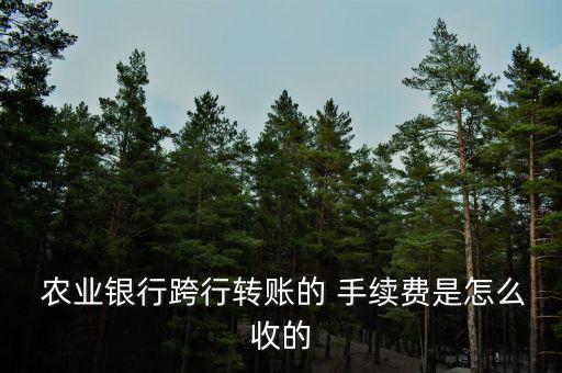 農業銀行卡手續費怎么算的,銀行手續費怎么算?