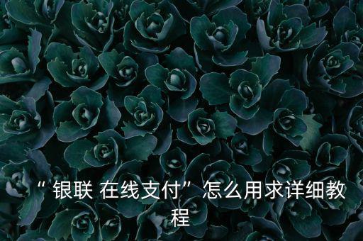 “ 銀聯 在線支付”怎么用求詳細教程