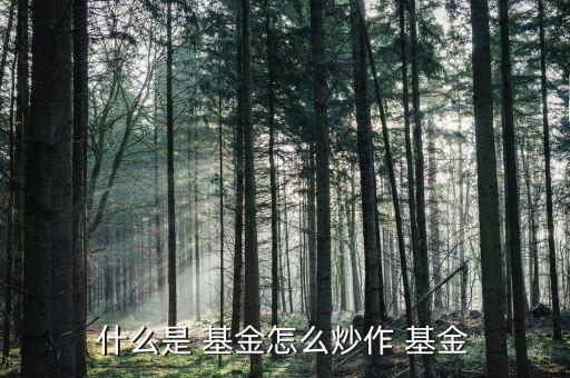 怎么炒b基金,股票指數基金采用///2戰略思維
