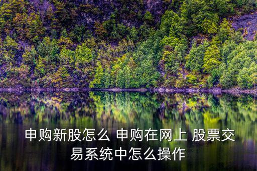  申購新股怎么 申購在網上 股票交易系統中怎么操作