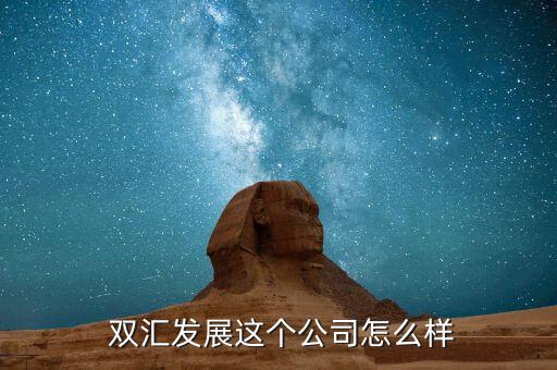  雙匯發展這個公司怎么樣