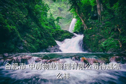 中房怎么樣,中房集團公司是中國最早房地產開發企業之一