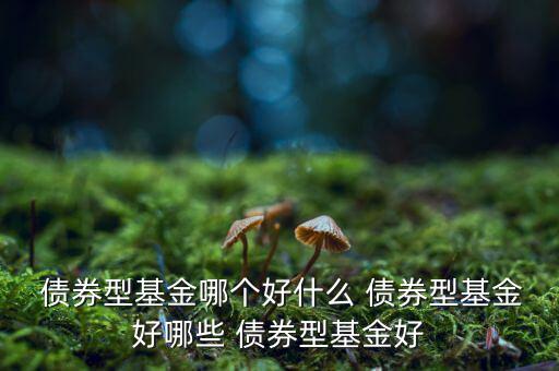 中信穩定雙利債券怎么樣,債券基金和股票型基金的區別