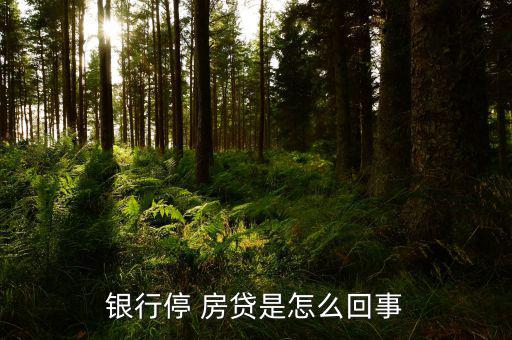 房貸停貸怎么辦,銀行主動暫停房貸業務待調整后恢復