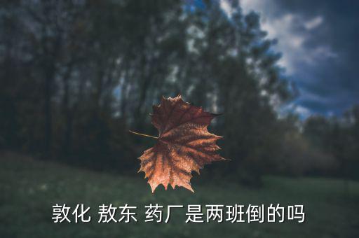 吉林敖東藥廠怎么樣,吉林敖東醫藥集團股份有限公司注冊成立