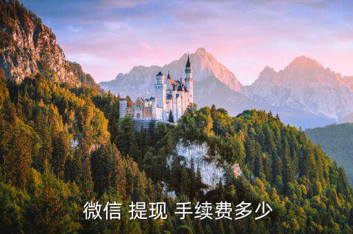  微信 提現 手續費多少