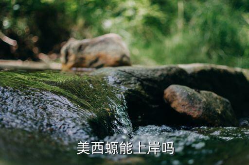 重慶金美西百貨怎么樣,美國金礦發現后世界沸騰