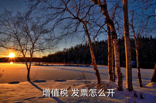  增值稅 發票怎么開