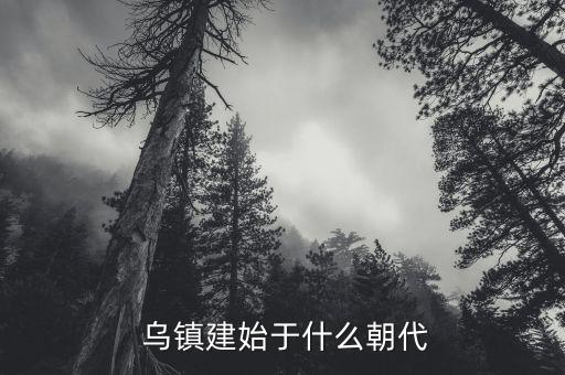 烏鎮怎么建造,烏鎮鎮互聯網大會永久落戶配套項目