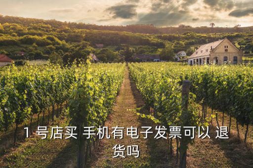 1 號店買 手機有電子發票可以 退貨嗎