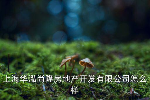 上海華泓尚隆房地產開發有限公司怎么樣