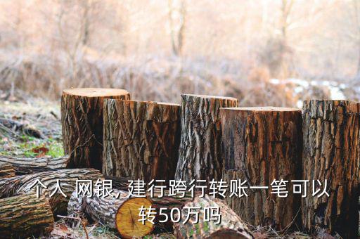 建行超級網銀怎么使用,央行超級網銀專業版正式上線
