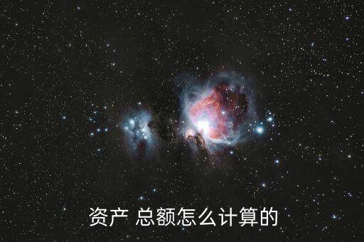  資產 總額怎么計算的