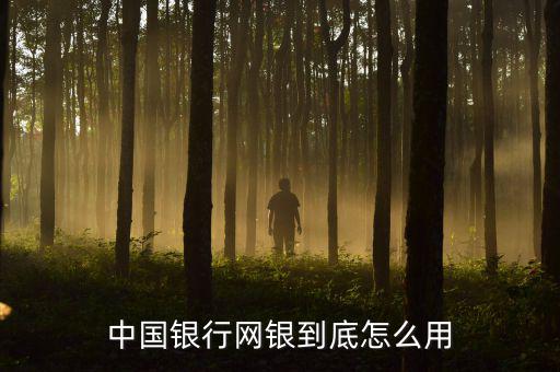 網銀要怎么用,中國銀行指定網站如何登陸網銀