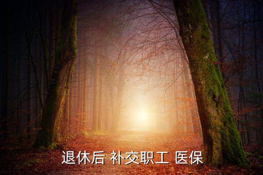  退休后 補交職工 醫保