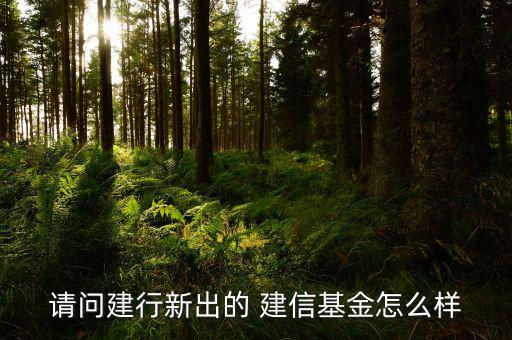 建信收益a怎么樣,建信穩定增利a風險不大每周公布一次凈值