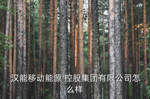 漢能控股怎么樣,漢能控股集團有限公司致力于薄膜太陽能發電