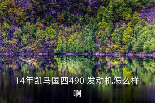 14年凱馬國四490 發動機怎么樣啊