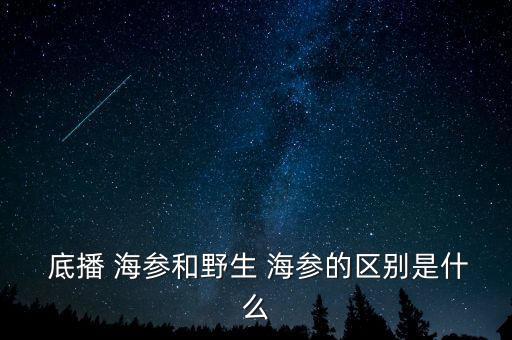 底播海參怎么飼養,最接近野生海參底播海參與人工海參之別