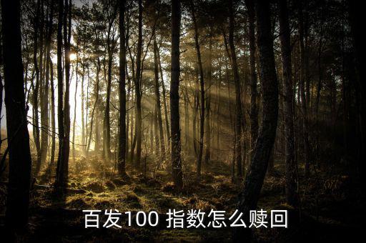 百發100指數怎么樣,指數基金的概念