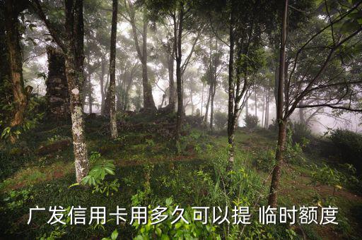  廣發信用卡用多久可以提 臨時額度
