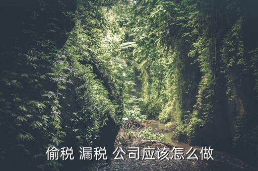 公司怎么偷稅漏稅,公司偷稅漏稅情節嚴重者可判刑三年