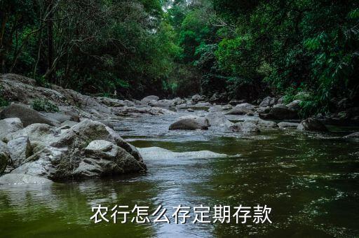  農行怎么存定期存款