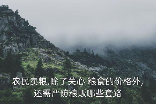 農民賣糧,除了關心 糧食的價格外,還需嚴防糧販哪些套路