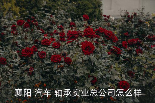  襄陽 汽車 軸承實業總公司怎么樣