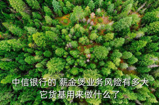  中信銀行的 薪金煲業務風險有多大它貨基用來做什么了