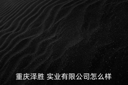 世龍實業怎么樣,景德鎮中國瓷都世龍實業有限公司正式開業