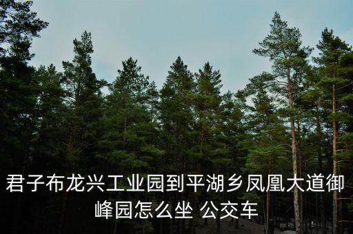 君子布龍興工業園到平湖鄉鳳凰大道御峰園怎么坐 公交車