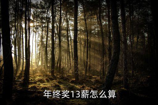 年終雙薪怎么算,法律沒有明確規定用人單位必須繳納年終獎雙薪