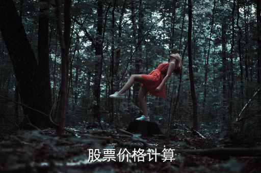 數學題股票怎么算每股多少錢,股票的定價是用市盈率來計算的