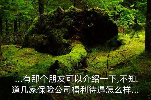 去安邦咨詢上班怎么樣,中聯內蒙古公司比安邦服務更好!