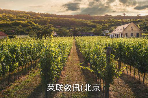榮之聯公司怎么樣,張春暉是車王互聯網董事長兼總裁