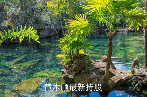東華實業股票怎么樣,股市大起大落