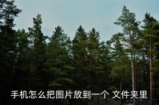 怎么把盤點的圖片發到文件夾,手機放圖片到a文件夾如何操作?